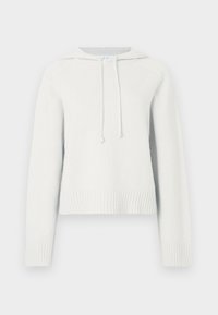 TILLY HOODIE - Πουλόβερ - pumice stone