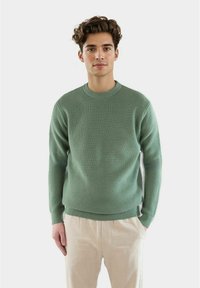Grønn stripete strikket genser med rund hals og lange ermer, parret med lys beige bukser. Myk tekstur og tettsittende silhuett.