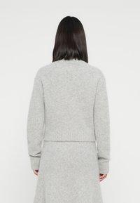Maglione corto in misto lana grigio con maniche lunghe e orlo a coste, caratterizzato da una finitura morbida e testurizzata. Visto da dietro.