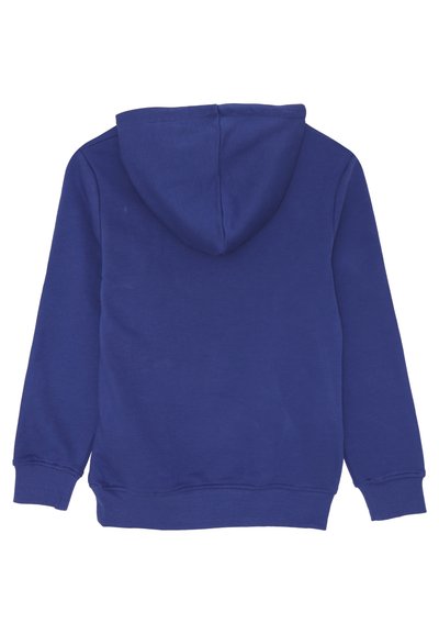 Felpa blu semplice con cappuccio, maniche lunghe, polsini e vita a costine, mostrata da dietro su uno sfondo bianco.