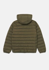 Olivgrüner Pufferjacke mit horizontaler Steppung, angenommener Kapuze und elastischen Bündchen, von hinten auf einem weißen Hintergrund gezeigt.