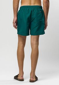 Zaļganzilās peldbikses ar elastīgu jostu, sānu kabatām un aizmugures kabatu. Izgatavotas no viegla auduma. Līzejošas šuves.