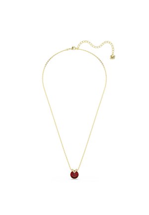 Gouden ketting met een rode edelsteen hanger, met een ronde vorm en een delicate ketting, benadrukt door een klein sluitingdetail.