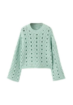 Pull tricoté vert clair avec motif ajouré, encolure ronde, manches longues et coupe légèrement courte.