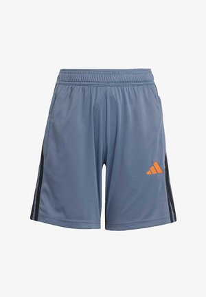 Pantalones cortos deportivos grises hechos de material ligero, con una cinturilla elástica, bolsillos laterales y un logotipo de Adidas en naranja con rayas negras en los lados.
