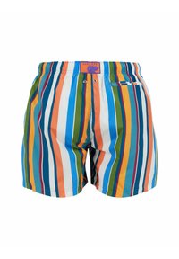 Costumi da bagno da uomo con strisce verticali in blu, verde, arancione e bianco. Vita elasticizzata con etichetta, presente una tasca posteriore.