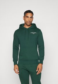 Björn Borg ESSENTIAL HOODIE - Džemperis su gobtuvu - pine grove