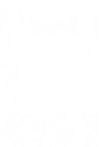 Fondo blanco liso; sin características, formas, colores o texturas identificables.