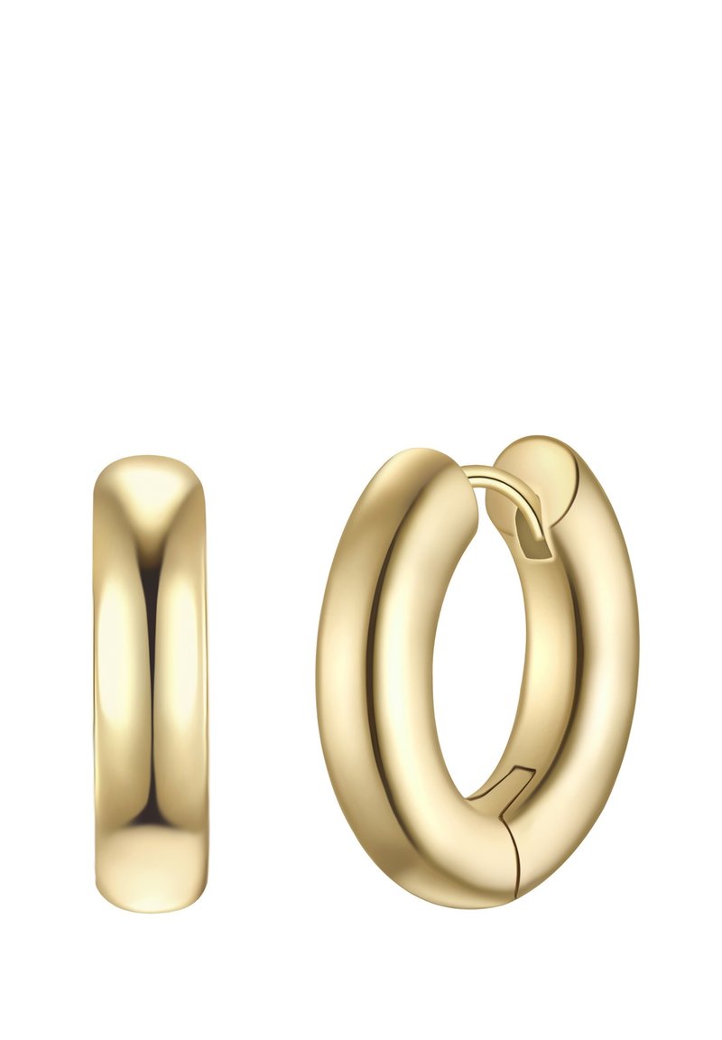 Auksiniai lankų formos auskarai su lygiu, poliruotu paviršiumi; vienas yra uždara apskritimas, kitas turi matomą užsegimą ir atsiveria per vyrių.