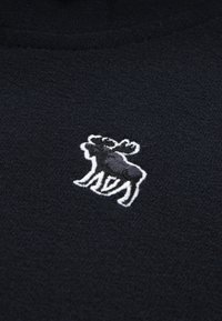 Abercrombie & Fitch ESSENTIALS - Felpa - anthracite
