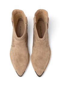 Botas de tobillo de ante color marrón con puntas afiladas, forro de cuero y recortes sutiles; detalle en tono plateado en la punta.