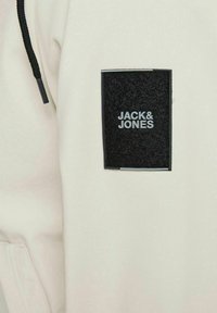 Jack & Jones JCOCLASSIC JACKET HOOD  - Winter jacket - moonbeam