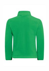 Giacca in pile verde con colletto, maniche lunghe e una texture liscia. La vista posteriore mostra un colore uniforme senza motivi o decorazioni.