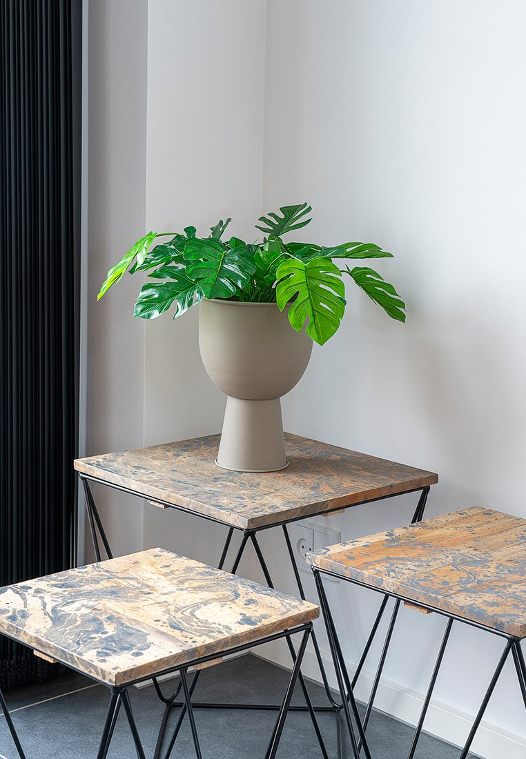 Blumentopf in einem matten beigen Keramiktopf mit runder Basis, der große grüne Monstera-Blätter hält, auf einem strukturierten Holztisch mit Metallbeinen platziert.