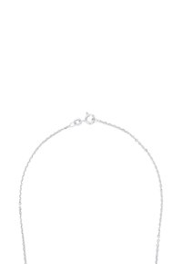 Collana in argento con un design sottile e delicato, dotata di chiusura a moschettone e finitura lucida.