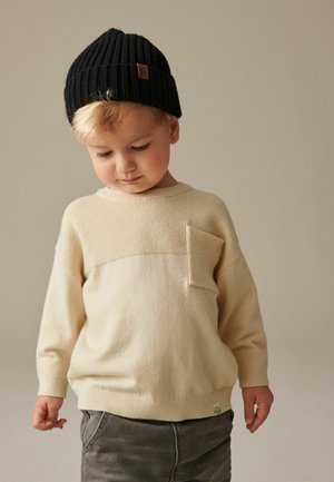 Next CREW - REGULAR FIT - Strickpullover - neutral