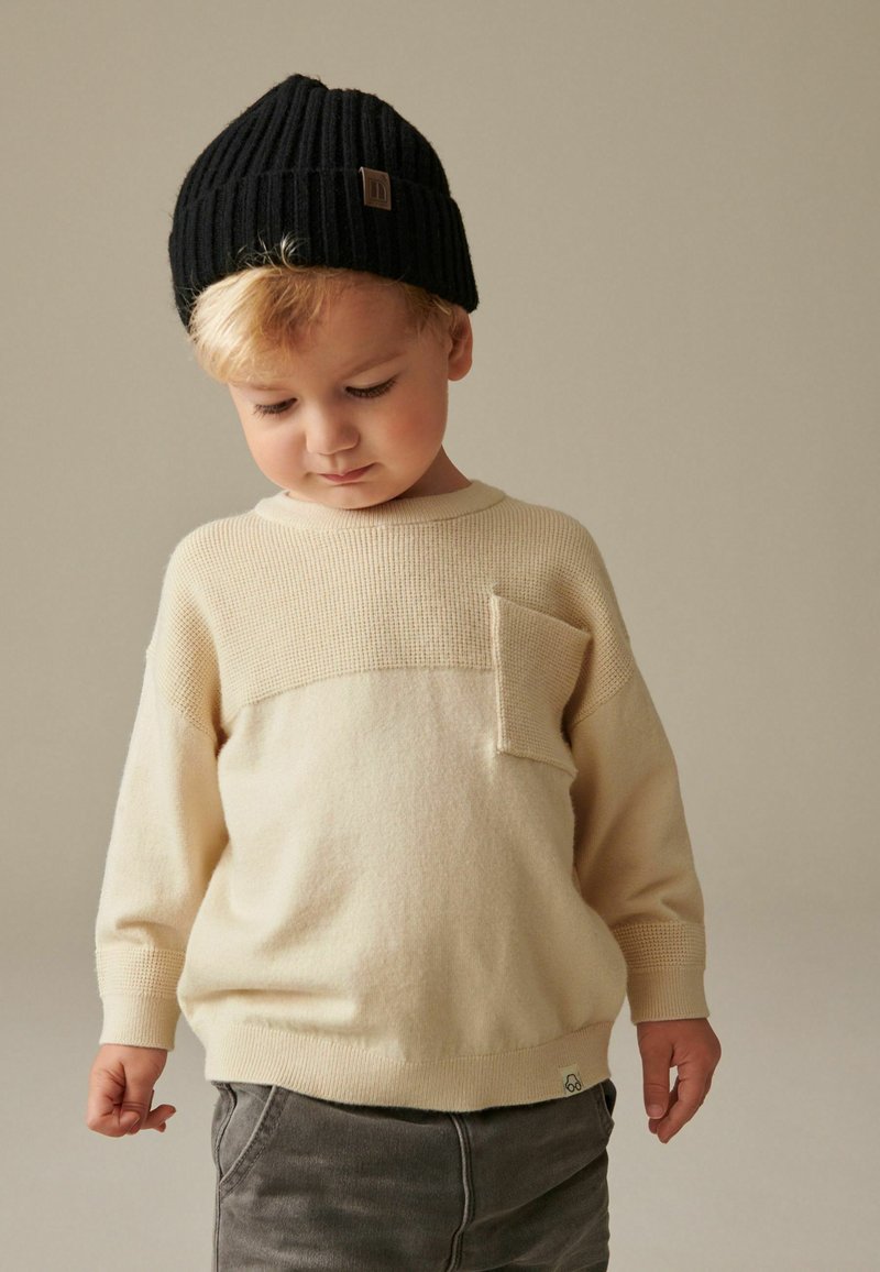 Next CREW - REGULAR FIT - Strickpullover - neutral