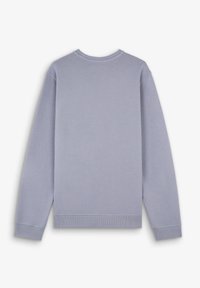 Lichtblauwe sweatshirt met lange mouwen, ronde hals en ribgebreide manchetten en onderkant. Soepele textuur, minimale stiksels, geen zichtbare patronen.