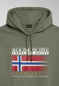 Sweat à capuche vert avec le logo "NAPAPIJRI", drapeau norvégien stylisé, "geographic" en orange et le texte "Antarctic Research Program" en dessous.