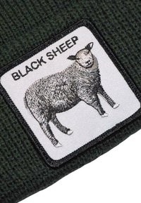Goorin Bros ANIMAL PETCH - Berretto - green while