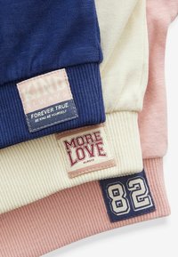 Next VARSITY GRAPHIC 3 PACK - Bluză de molton - pink blue