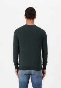 Green sweater with long sleeves, round neckline, and ribbed hem. Worn with blue jeans, displayed from the back against a white background.