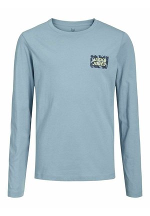 LONGSLEEVE  - Camiseta de manga larga - mountain spring