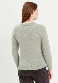 Pull en tricot vert pâle avec texture côtelée, manches longues et encolure arrondie, montré de dos avec un ourlet droit.