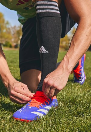 PREDATOR PRO FIRM GROUND - Fußballschuhe für festen Untergrund - lucid blue/footwear white/solar red