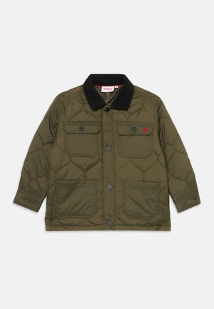 PADDED JACKET - Light jacket - kalamata