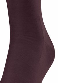 FALKE CLIMAWOOL - Calzettoni - barolo