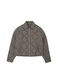Veste d'hiver - light grey