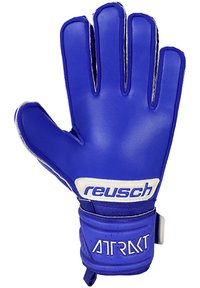 Guanto da portiere blu realizzato in materiale sintetico con una texture liscia. Presenta un logo e un nome di marca bianchi, oltre a un cinturino per il polso sicuro.