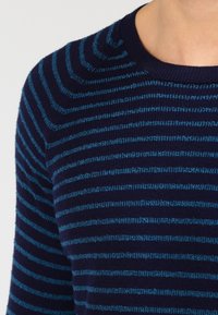 Pull bleu marine avec des rayures verticales en bleu clair, texture tricotée et encolure ras du cou, mettant en avant un design épuré et classique.