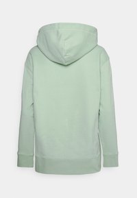 Felpa con cappuccio in cotone verde menta vista da dietro, con cappuccio regolabile e maniche lunghe con polsini a costine. Texture liscia e vestibilità comoda.