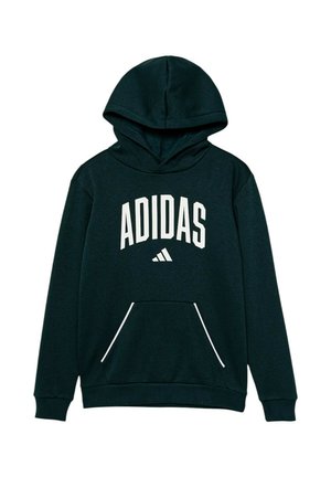 adidas Sportswear, J CLGT OH FL HD - Jersey con capucha - mottled gre