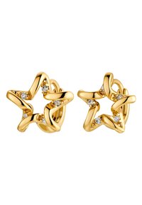 Boucles d'oreilles - goldfarbend