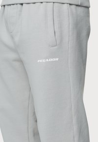 Pegador LOGO WIDE PANTS - Dresside alumine osa - washed pearl grey