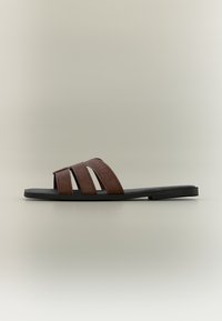 Δεν επιλέχθηκε, dark brown