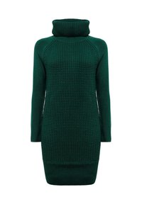 Robe en tricot vert avec un col roulé haut, des manches longues et des détails en relief. Silhouette ajustée avec un ourlet au-dessus des genoux.