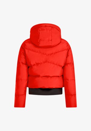 Rode cropped pufferjack met capuchon en gestikte naden, gezien vanaf de achterkant op een witte achtergrond.