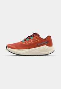 AERO BLAZE 3 GRVL - Tenisice za trail trčanje - burnt ochre/vanilla ice