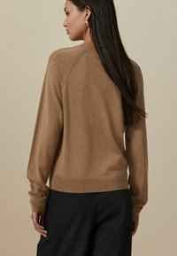 Brun strikket sweater med rund halsudskæring og lange ærmer. Har ribbede manchetter og kant. Bæres med mørke bukser. Blød tekstur.