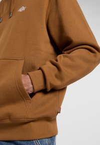 Ingrandimento di una persona che indossa una felpa marrone con tasca frontale e un'etichetta sul lato, con le mani comodamente posizionate nella tasca.