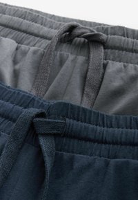 Next LONG SLEEVE 2 PACK - REGULAR FIT SET - Nattøj sæt - navy blue stone