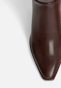 Stivale alla caviglia in pelle marrone con punta affusolata, texture liscia e cuciture minime. Design elegante con tacco leggermente sollevato.