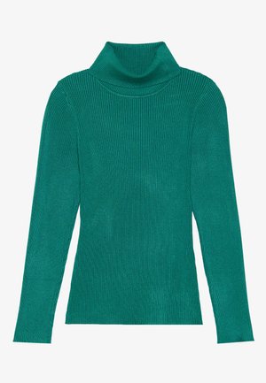 Teal ribbed turtleneck sweater with a fitted design, long sleeves, and a soft texture, featuring a high folded collar.