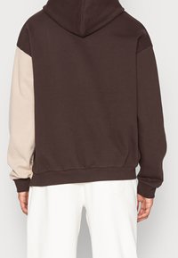Felpa con cappuccio caratterizzata da un corpo marrone scuro e maniche beige chiaro, realizzata in morbido tessuto con polsini e orlo a costine.