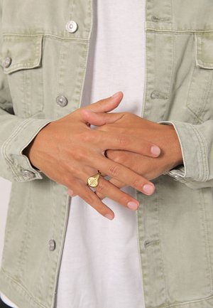 Helles grünes Jeansjacke mit silbernen Knöpfen, getragen über einem weißen T-Shirt. Ein goldener Siegelring hat ein einzigartiges eingraviertes Design auf der Hand.