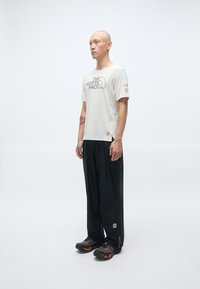 The North Face Summit Series HIGH TRAIL GRAPHIC - T-skjorte til trening - calacatta